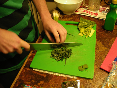 Chopping Spring Onion