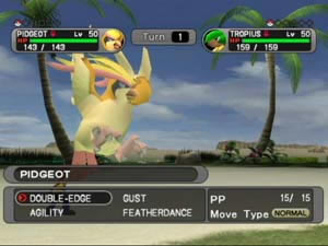 pokemon_xd_gc.jpg